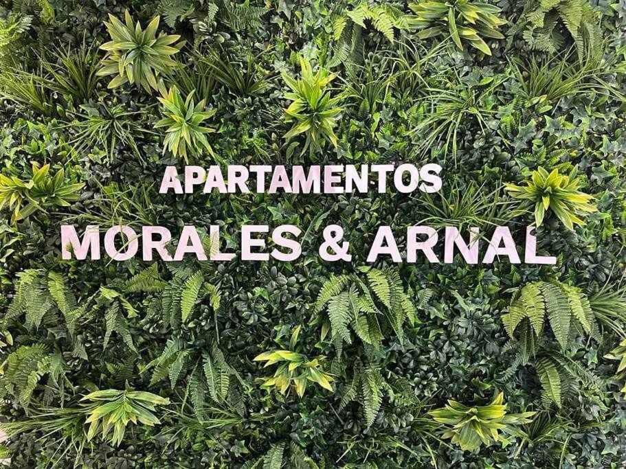 XX D Apartamentos Morales & Arnal Ronda Exterior photo